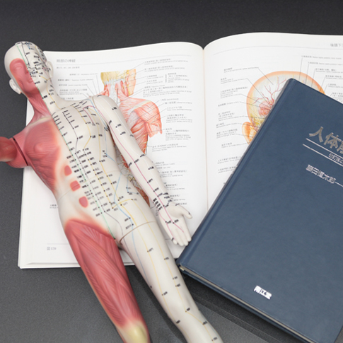 自賠責 交通事故